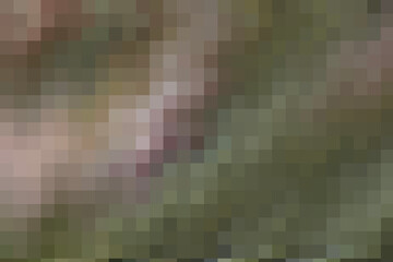 Naklejka premium New trendy brown background, beige layout base