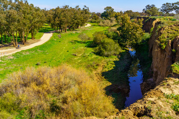 Fototapeta premium Gerar valley, Beeri Forest, Northern Negev Desert