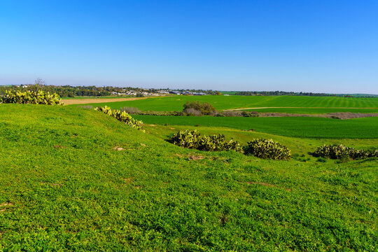 Countryside and Kibbutz Dorot, Northern Negev Desert