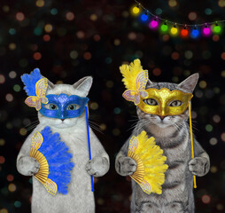 Two cats in carnival masks are having fun. Dark background.