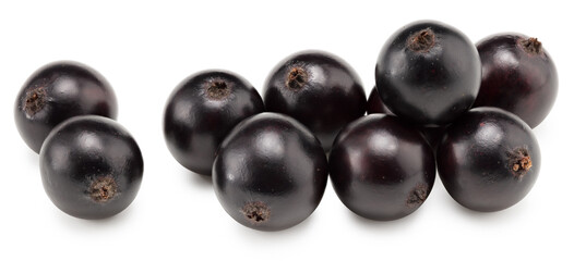 black currant isolated on white background. macro. clipping path