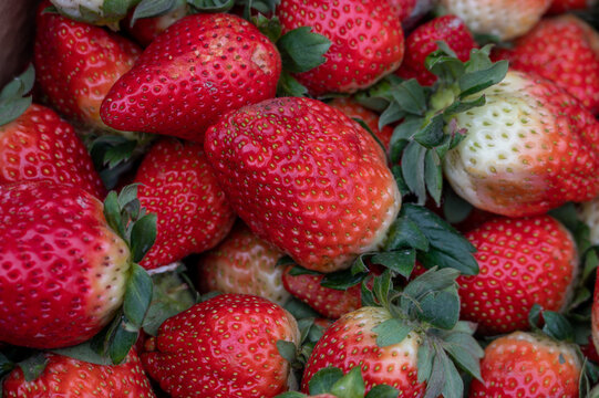 Strawberries in the basket, background picture