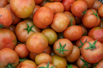 Ripe tomatoes in the basket, background picture