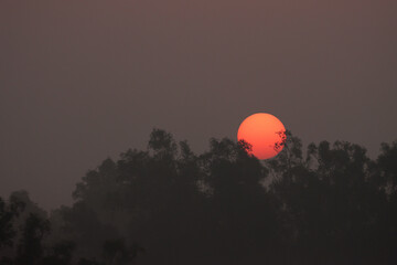 Sunset At Sundarbans.Sundarbans is the biggest natural mangrove forest in the world, located between Bangladesh and India.this photo was taken from Bangladesh.