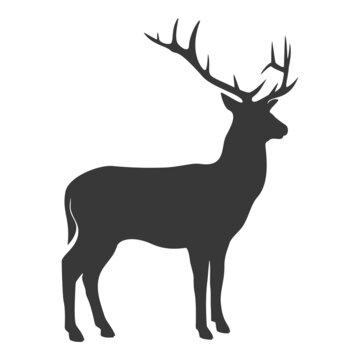 Deer silhouette, icon. Vector illustration on a white background.