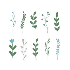 Vector set flowers illustration. 10 elements with flowers outline with leaves in black isolated on white background. Ornate contour flowers spring.