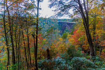 New River Gorge Bridge From The Canyon Rim View, New River Gorge National Park, West Virginia, USA