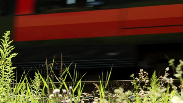 Vorbeifahrender Zug in Natur mit Gras