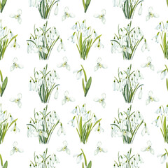 Fototapeta na wymiar Snowdrops. Seamless pattern in watercolor. Spring flowers on a white background.