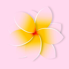 Plumeria tropical. Card with exotic frangipani flower in paper cut style. Modern trendy design with delicate pink background. vector