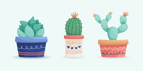  Set of suculents and cactus. Ceramic pot. Home decor.