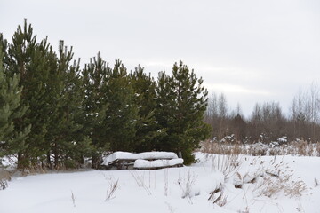 winter nature and a table in the snow