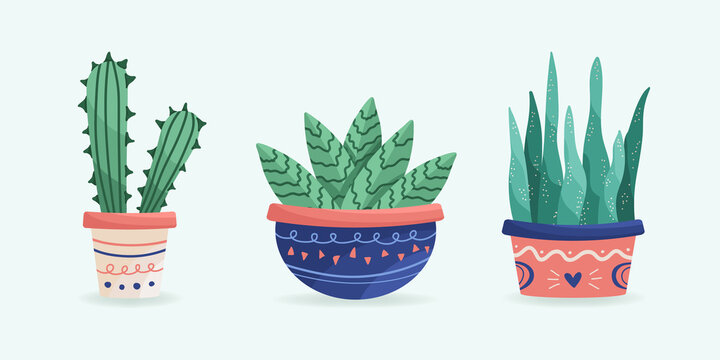  Set of suculents and cactus. Ceramic pot. Home decor.