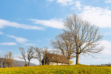Obraz premium Abandoned wooden house surrounded by bare trees in highland