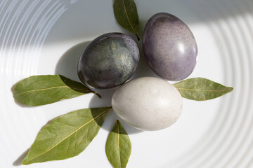 Easter eggs close-up on a white plate top view. Festive spring composition