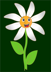  chamomile flower with cartoon face. white flower. for background