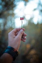 flower in hand