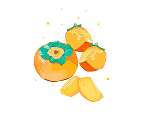 Persimmon hand drawing.Colorful fruit.Fresh fruit