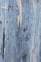 Textura madera vieja con tonos grises y marrones
