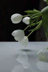 bowed tulip buds in a bouquet on the table