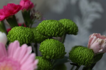 bouquet of colorful chrysanthemums close-up