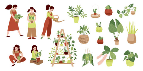 Home Plants Color Icon Set