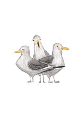 Fototapeta premium A flock of funny seagulls