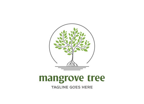 Modern Green Mangrove Plant Tree for Garden Park Conservation Logo Design Vector
