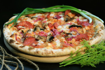 Delicious pizza with salami and mushrooms