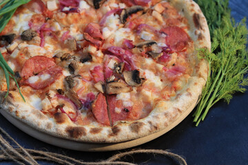 Delicious pizza with salami and mushrooms