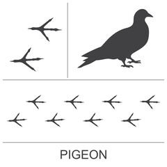 Silhouette and footprints of a pigeon. Vector illustration.