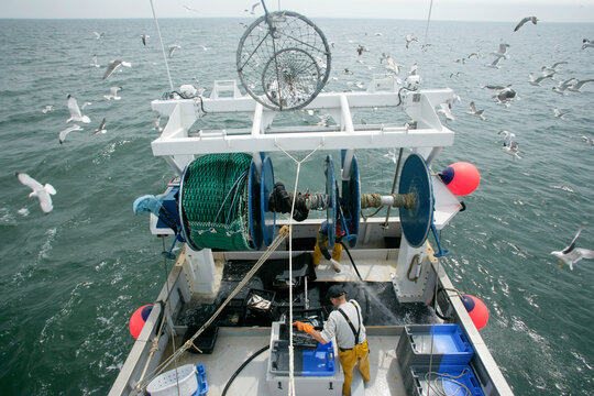 peche en mer, chalutier