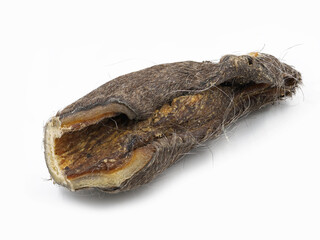 dried skin with fur as natural dog snack isolated on white background