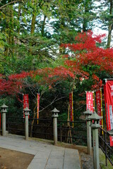 日本の燃えるような秋の紅葉