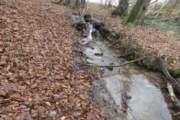 Werre spring area in wehren near Horn-Bad Meinberg