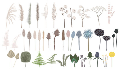 Vector set of boho plants. Beautiful pastel wild grass and flowers. Collection of floral elements: pampas grass, poppy heads, palm leaves, cotton and other. Stylish flat elements for your design