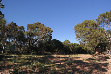 Paesaggio campestre