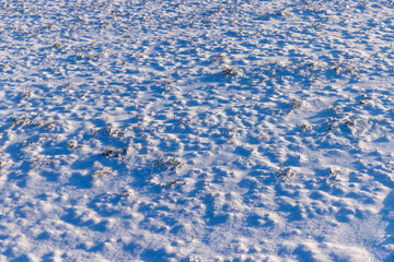 winter season with snowdrifts after snowfall
