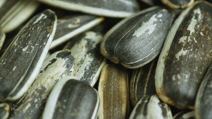 Healthy organic sunflower seeds, with high nutritional level and rich in minerals and oils. Macro shot. Low angle.
