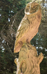Very attractive wood carvings at Kilmun forrest, Scotland, Uk