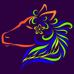 Beautiful donkey flower head pony horse with long creative and graceful and elegant curly fluffy mane in blue and orange and yellow colors