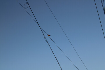 I sit high and look far away