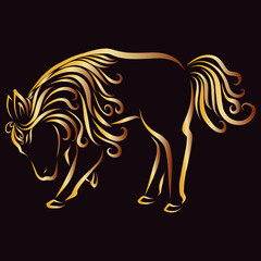Fototapeta premium Beautiful donkey pony horse with long creative and graceful and elegant curly mane and fluffy tail in bright yellow and orange and gold color