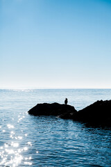 Fototapeta premium Silhouette of a bird sitting on a rock; seascape; blue