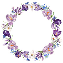 watercolor flower wreath, spring flowers: violet, blue and white crocuses, botanical illustration