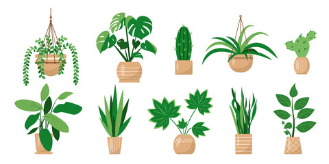 Indoors decorative house plants or flowers in pots. Home or office garden with Cactus, Succulent and tropical leaves. Flat or cartoon icons vector illustration for home decor and botanical design.