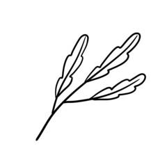 Branch of plant. Leaves in line style. Black and white natural illustration. Minimalism and simple flora.
