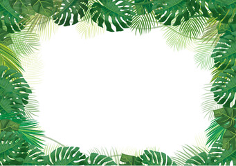 Vector green, tropical leaves border, isolated on white. Exotic leaves frame.