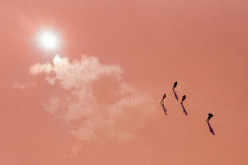 The optical effect of a fantastic pink sky due to the reflection of clouds and the sun in the lake...