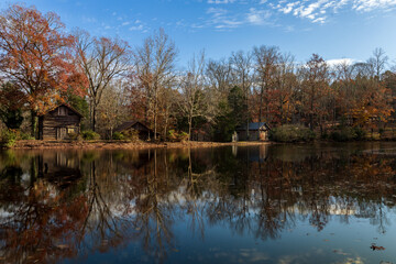 autumn pond